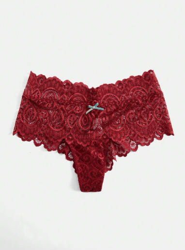 Lace Sheer Bow Decor Panty